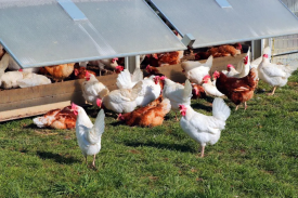 现代化规模；；；臣巴涝准庸は钅靠尚行匝芯勘ǜ