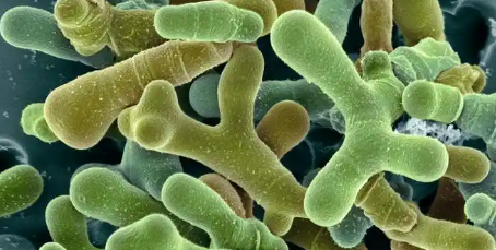 抖圈-为du而生官网入口