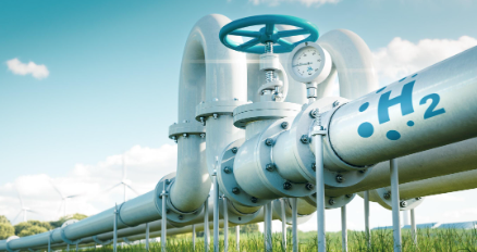 抖圈-为du而生官网入口