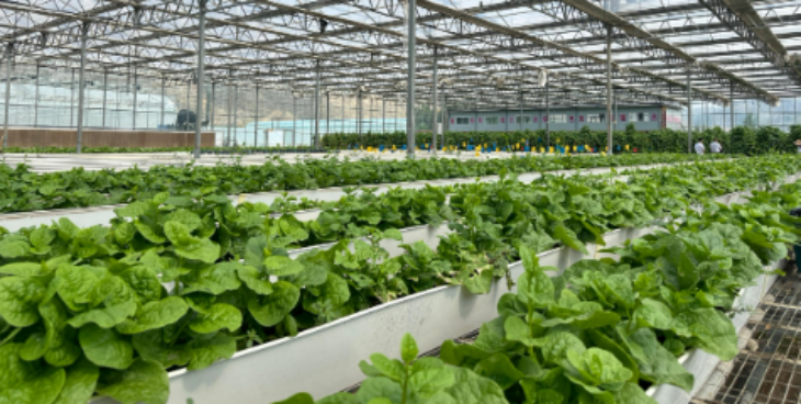 抖圈-为du而生官网入口