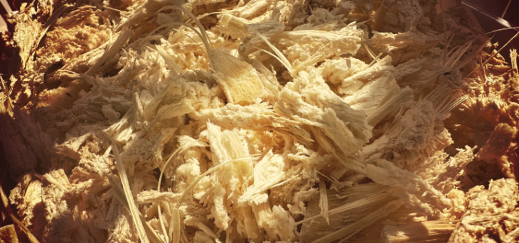 抖圈-为du而生官网入口