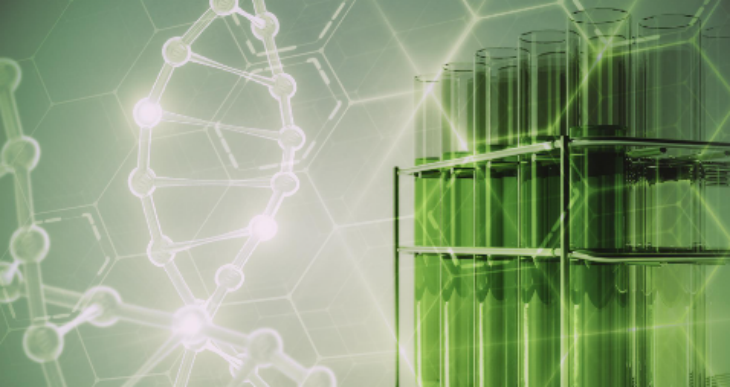 抖圈-为du而生官网入口