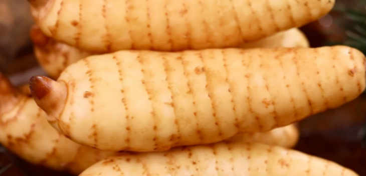 抖圈-为du而生官网入口