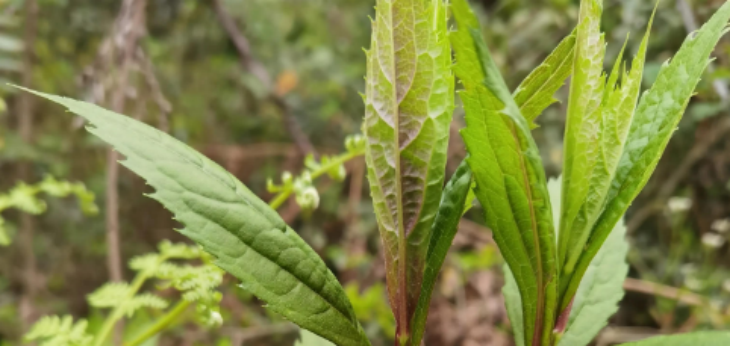 抖圈-为du而生官网入口
