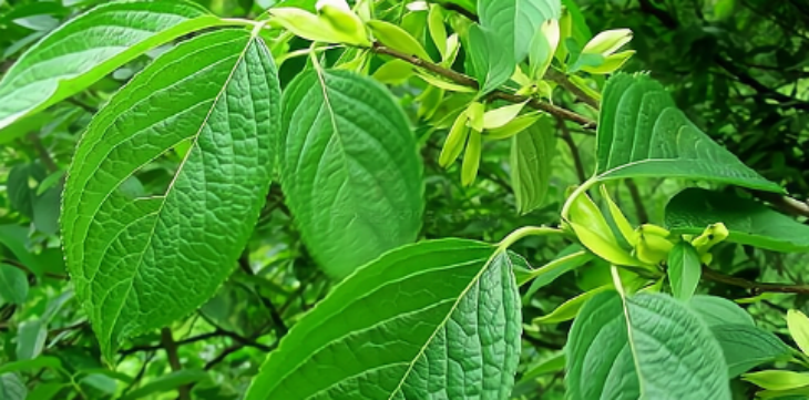 抖圈-为du而生官网入口