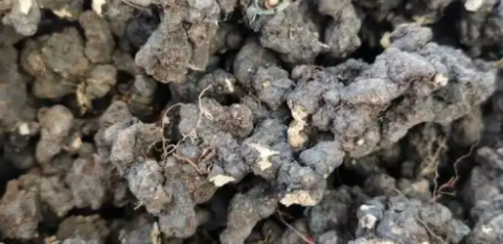 抖圈-为du而生官网入口