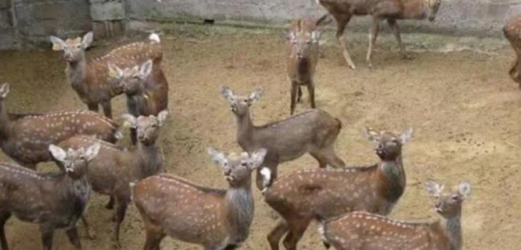 抖圈-为du而生官网入口