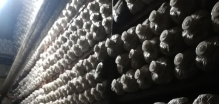 抖圈-为du而生官网入口