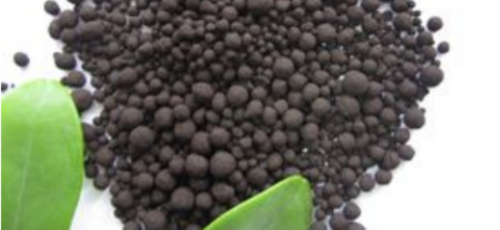 抖圈-为du而生官网入口