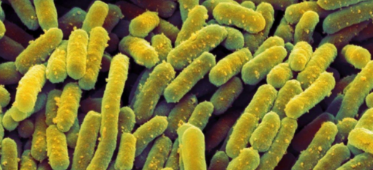 抖圈-为du而生官网入口