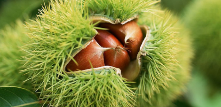 抖圈-为du而生官网入口