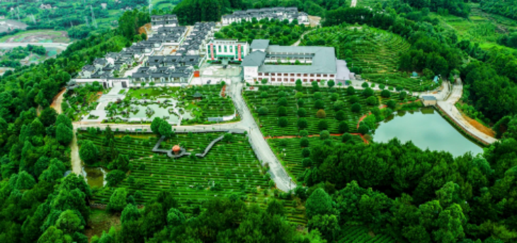 抖圈-为du而生官网入口