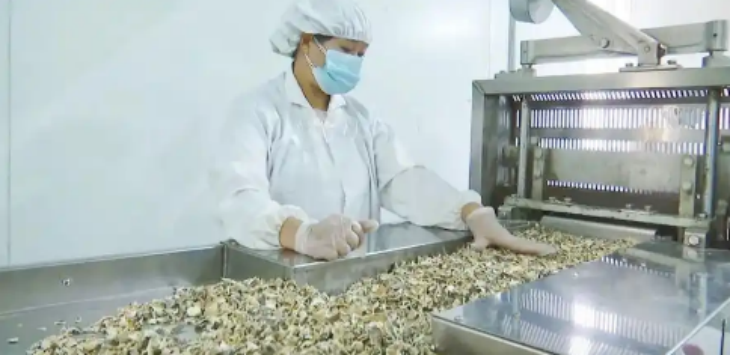 抖圈-为du而生官网入口