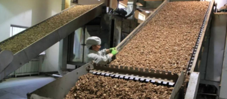 抖圈-为du而生官网入口