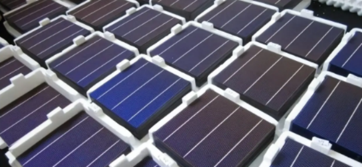 抖圈-为du而生官网入口