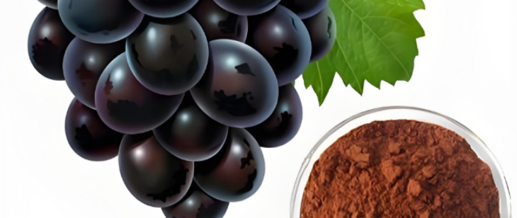 抖圈-为du而生官网入口