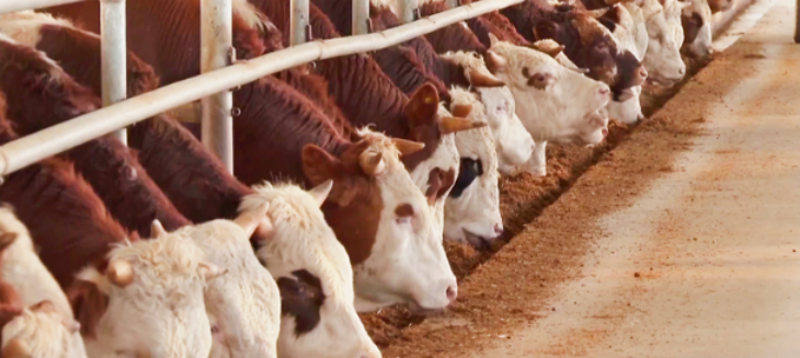 抖圈-为du而生官网入口