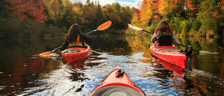 抖圈-为du而生官网入口