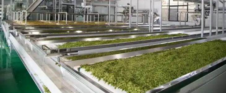 抖圈-为du而生官网入口