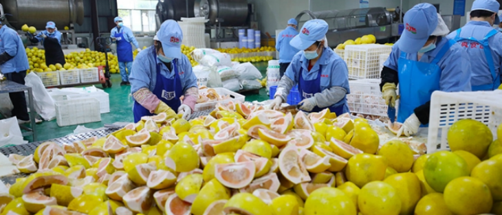 抖圈-为du而生官网入口