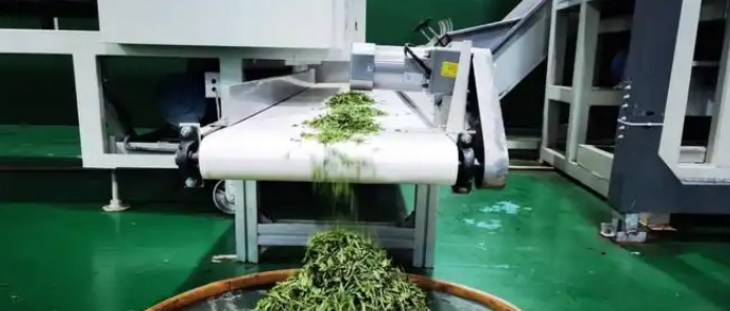 抖圈-为du而生官网入口