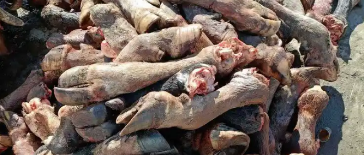 抖圈-为du而生官网入口