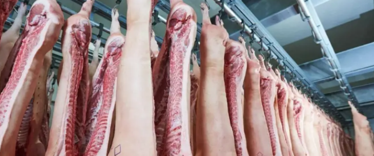 抖圈-为du而生官网入口