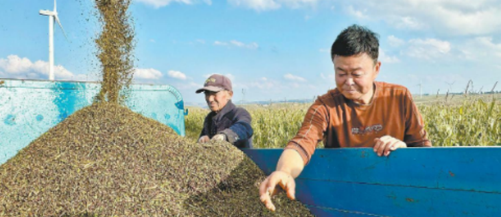 抖圈-为du而生官网入口
