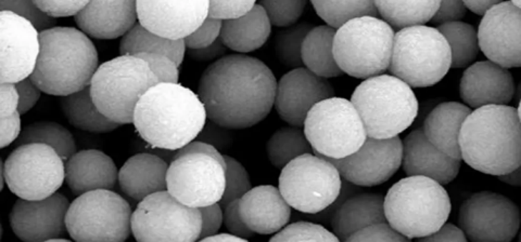 抖圈-为du而生官网入口