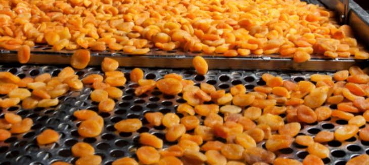 抖圈-为du而生官网入口