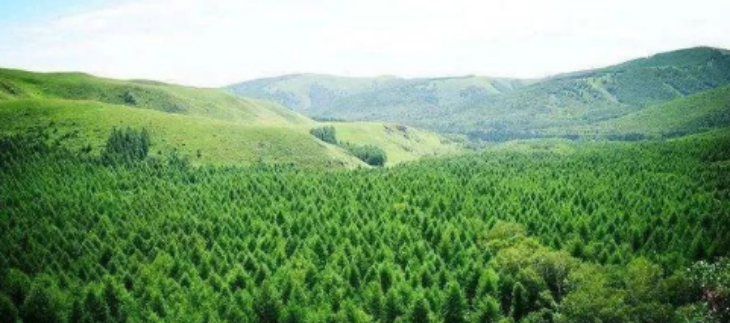 抖圈-为du而生官网入口