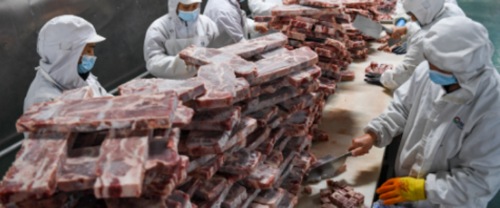 抖圈-为du而生官网入口