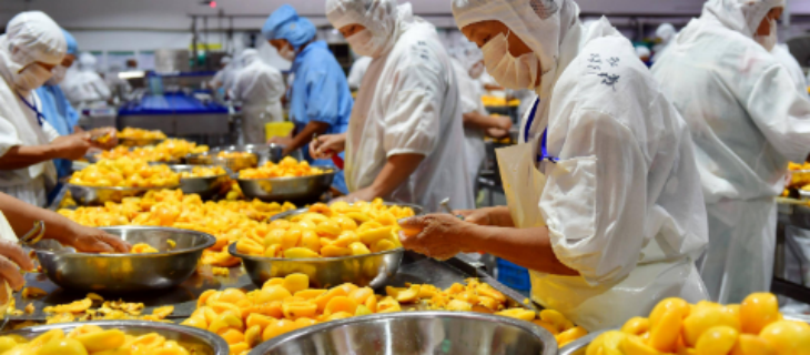 抖圈-为du而生官网入口