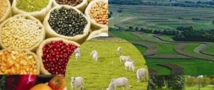 抖圈-为du而生官网入口