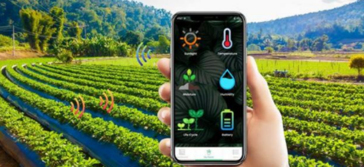 抖圈-为du而生官网入口