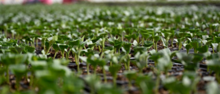 抖圈-为du而生官网入口