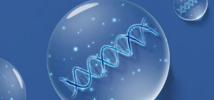 抖圈-为du而生官网入口