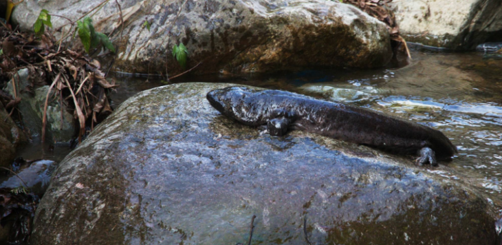 抖圈-为du而生官网入口