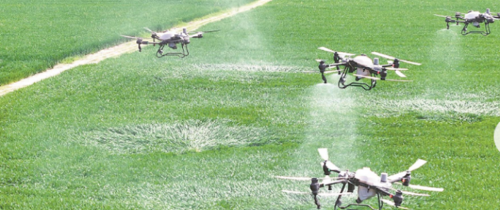 抖圈-为du而生官网入口