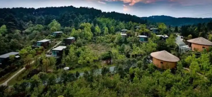 抖圈-为du而生官网入口