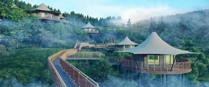 抖圈-为du而生官网入口